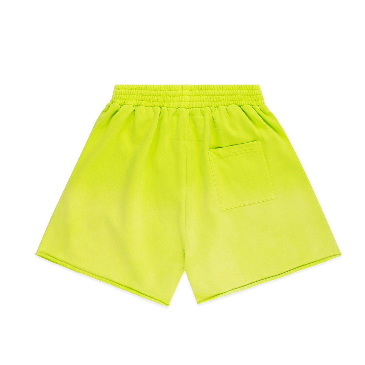 OG WEB V2 SWEATSHORT