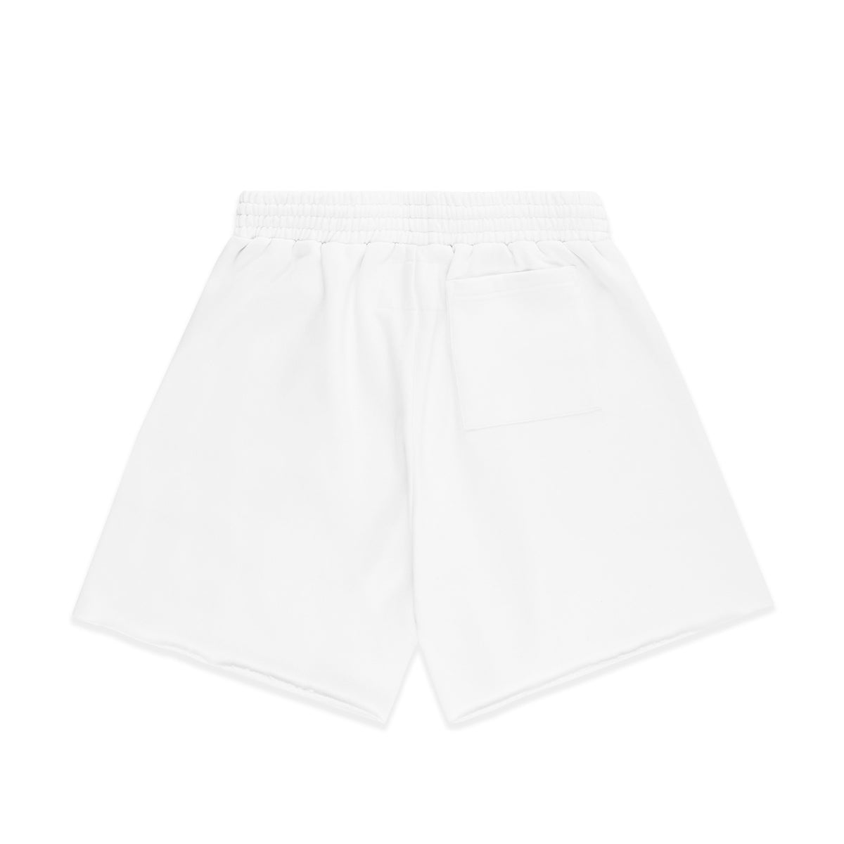 OG WEB V2 SWEATSHORT