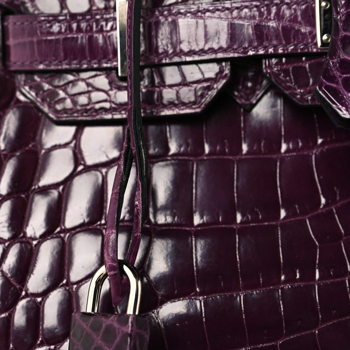 Shiny Niloticus Crocodile Birkin 30 Cassis