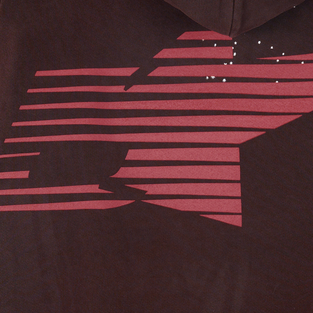 ARAIGNEE HOODIE