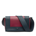 Celine Medium Shiny Smooth Calfskin Frame Shoulder Bag