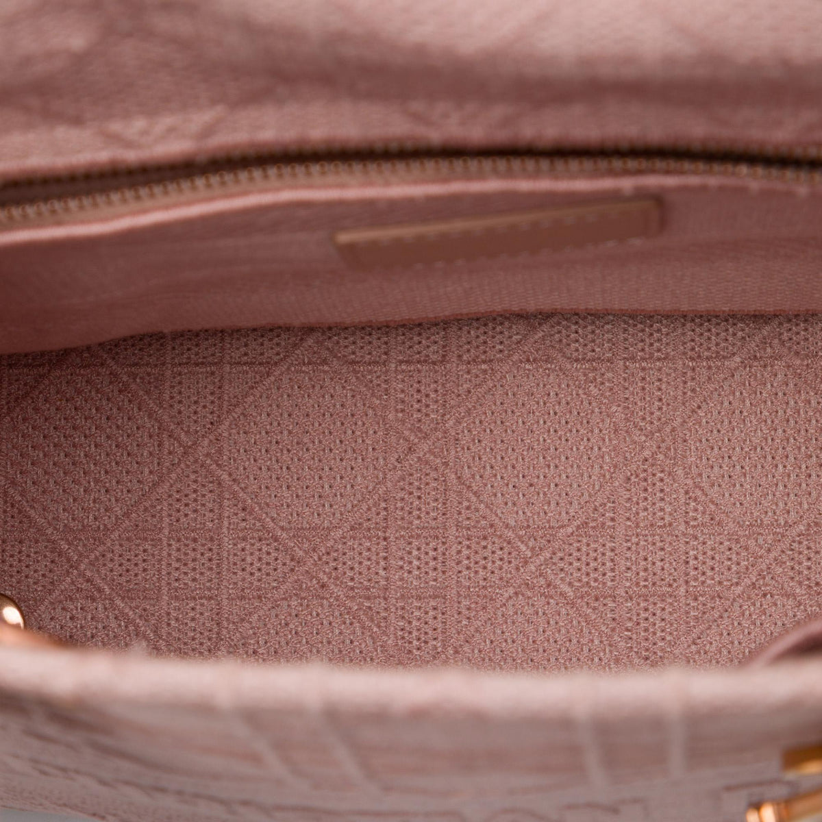 Dior Medium Embroidered Canvas Cannage Lady D Lite