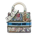 Dior Medium Embroidered Canvas D Constellation Lady D Lite