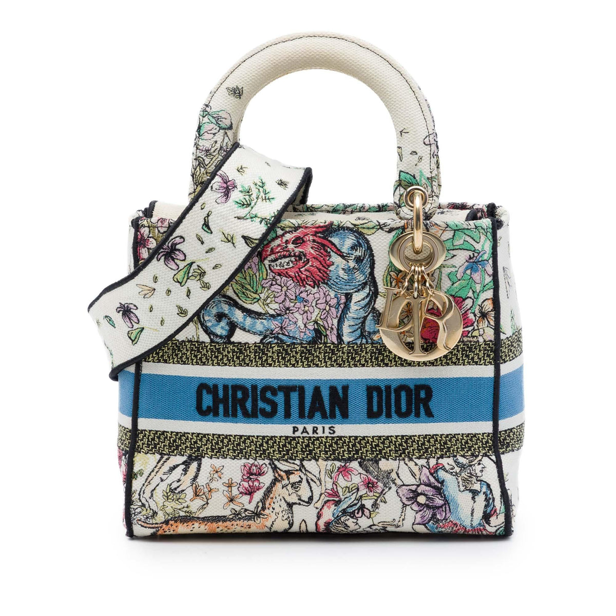 Dior Medium Embroidered Canvas D Constellation Lady D Lite