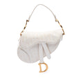 Dior Mini Oblique Embroidered Canvas Saddle Bag