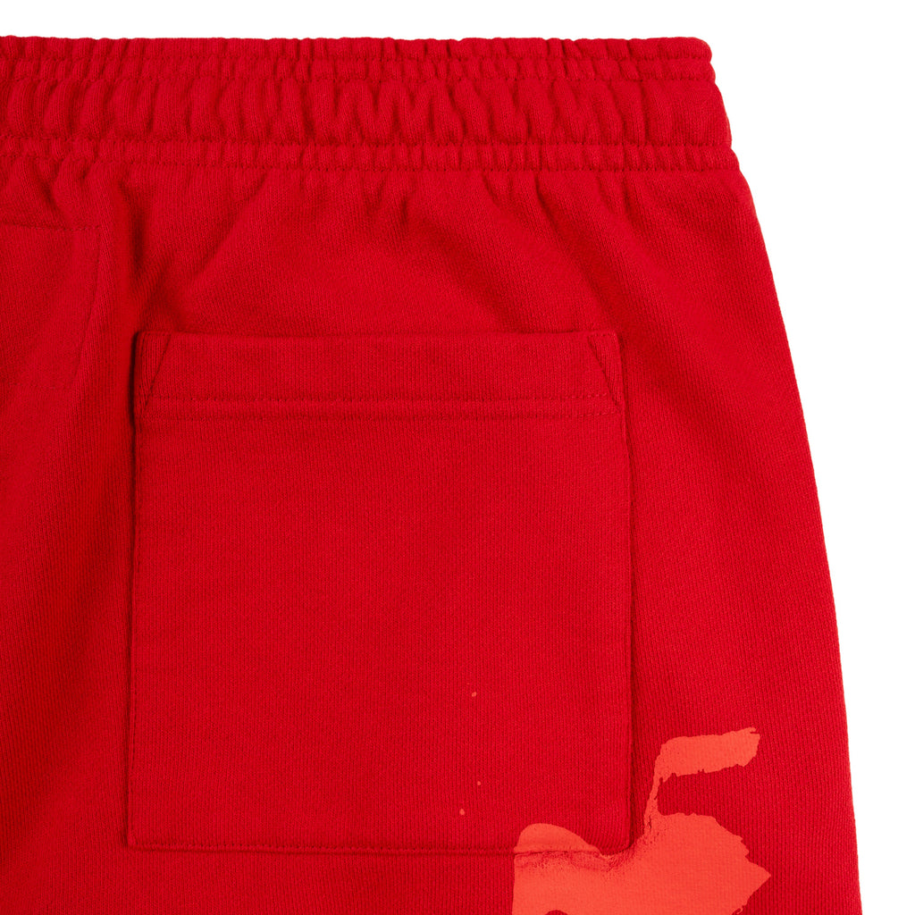 X-RAY SWEATPANT