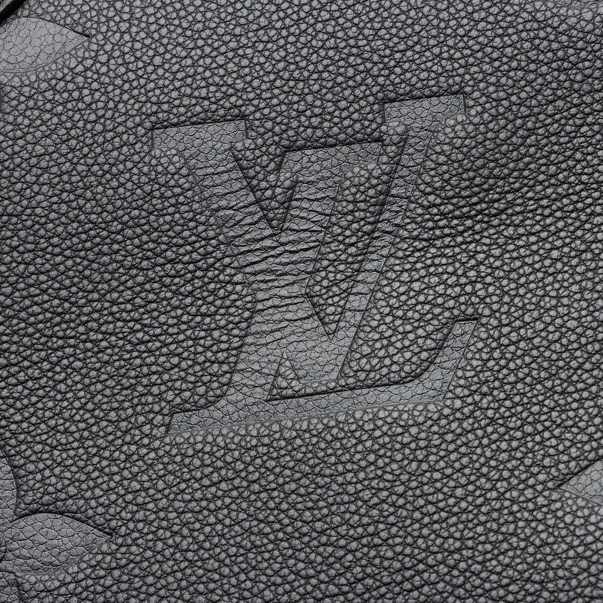 Louis Vuitton Giant Monogram Empreinte Wild Onthego MM Tote