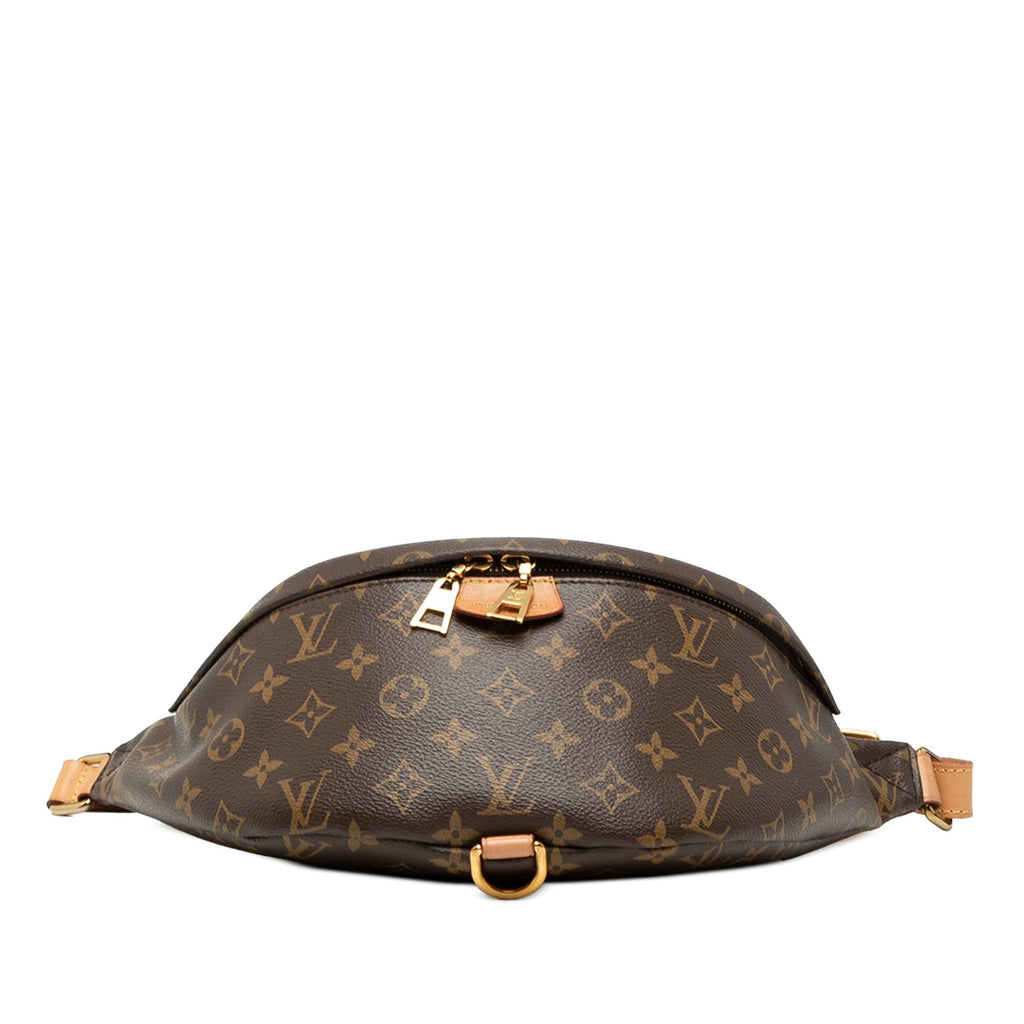 Louis Vuitton Monogram Bumbag