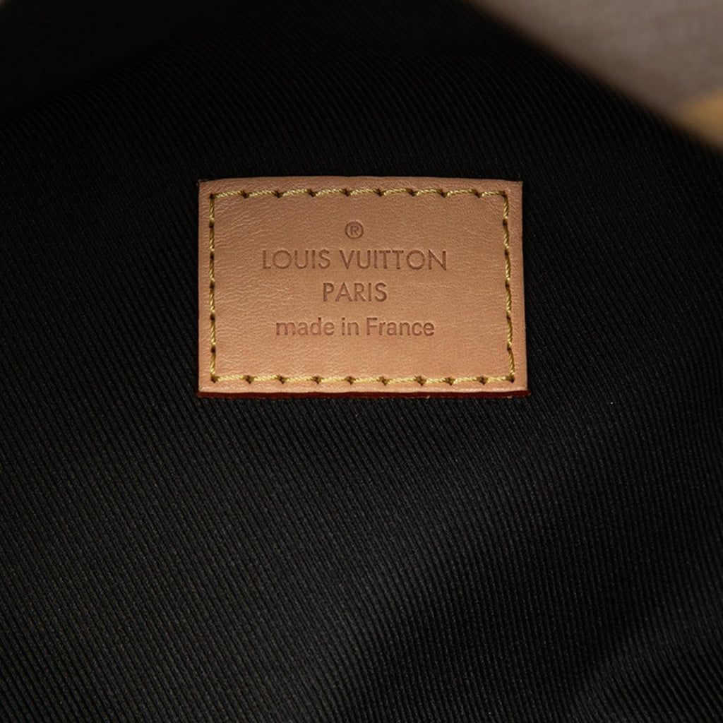 Louis Vuitton Monogram Bumbag