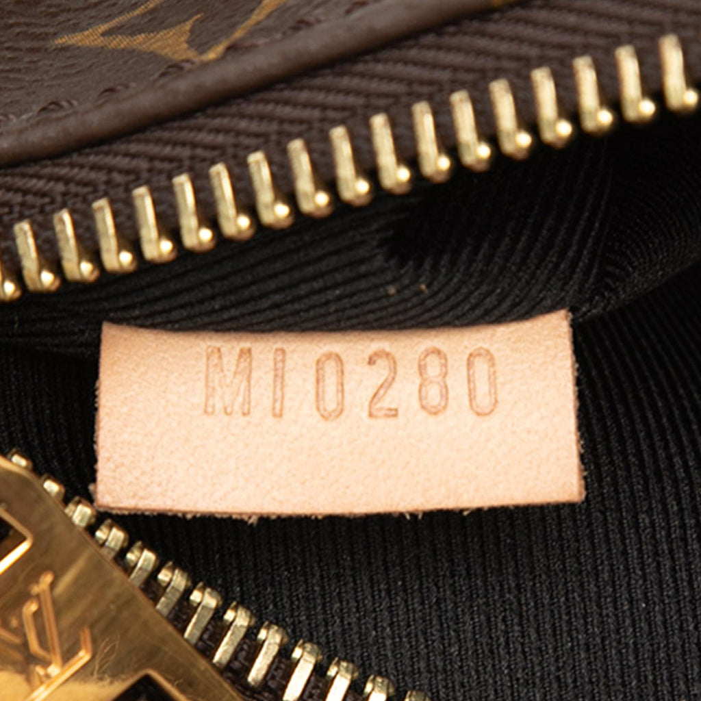 Louis Vuitton Monogram Bumbag