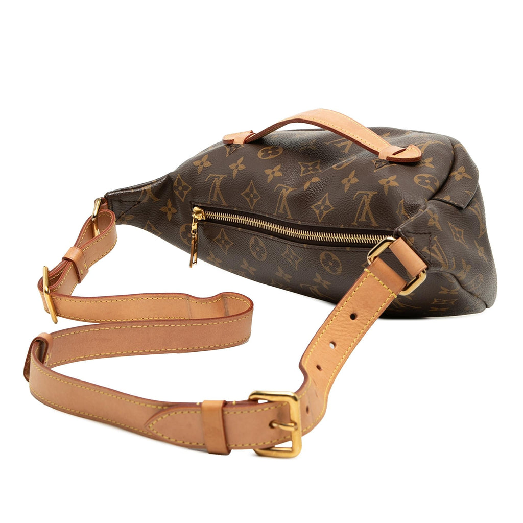 Louis Vuitton Monogram Bumbag