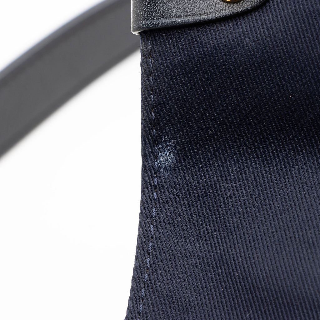 Louis Vuitton Monogram Canvas Georges BB Satchel