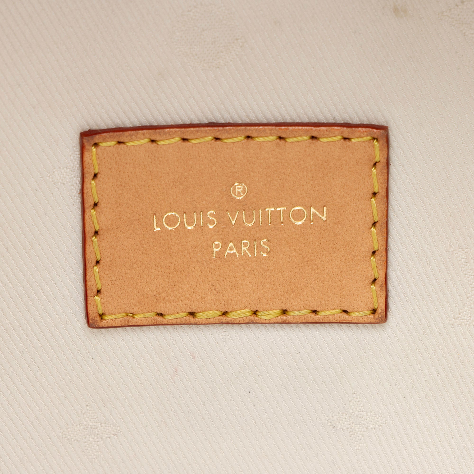 Louis Vuitton Monogram Canvas High Rise Bumbag