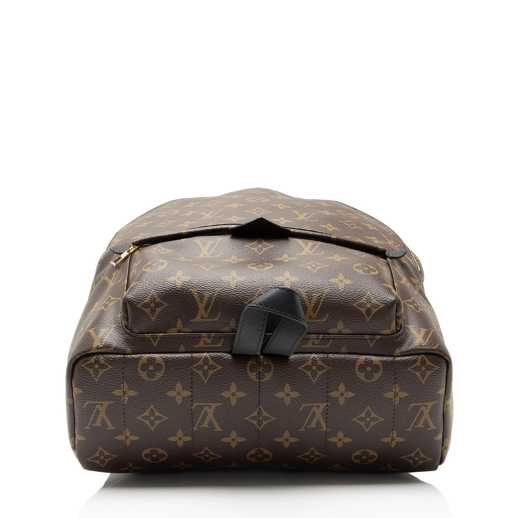 Louis Vuitton Monogram Canvas Palm Springs MM Backpack
