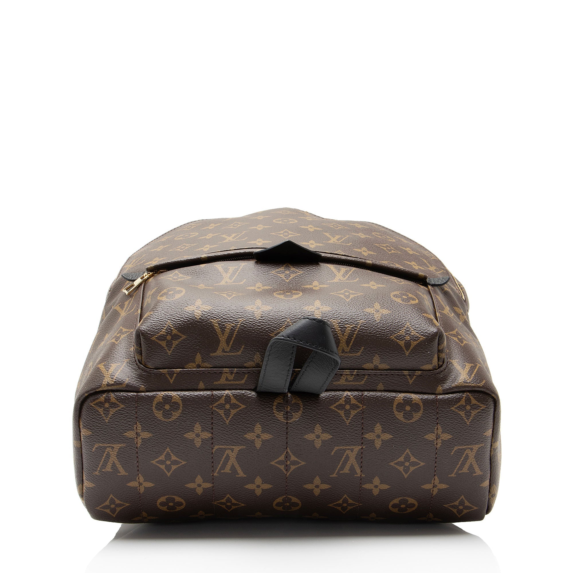 Louis Vuitton Monogram Canvas Palm Springs MM Backpack