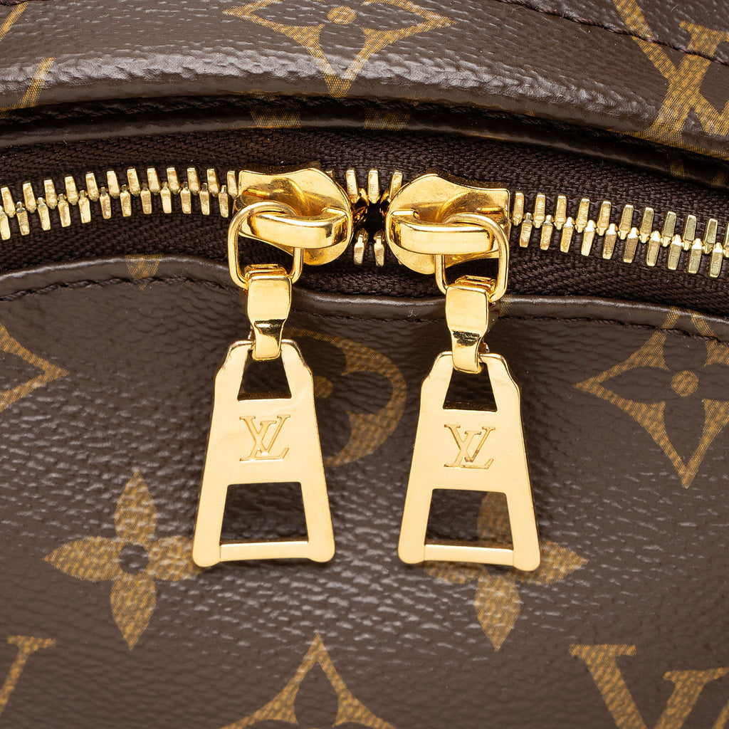 Louis Vuitton Monogram Canvas Palm Springs MM Backpack