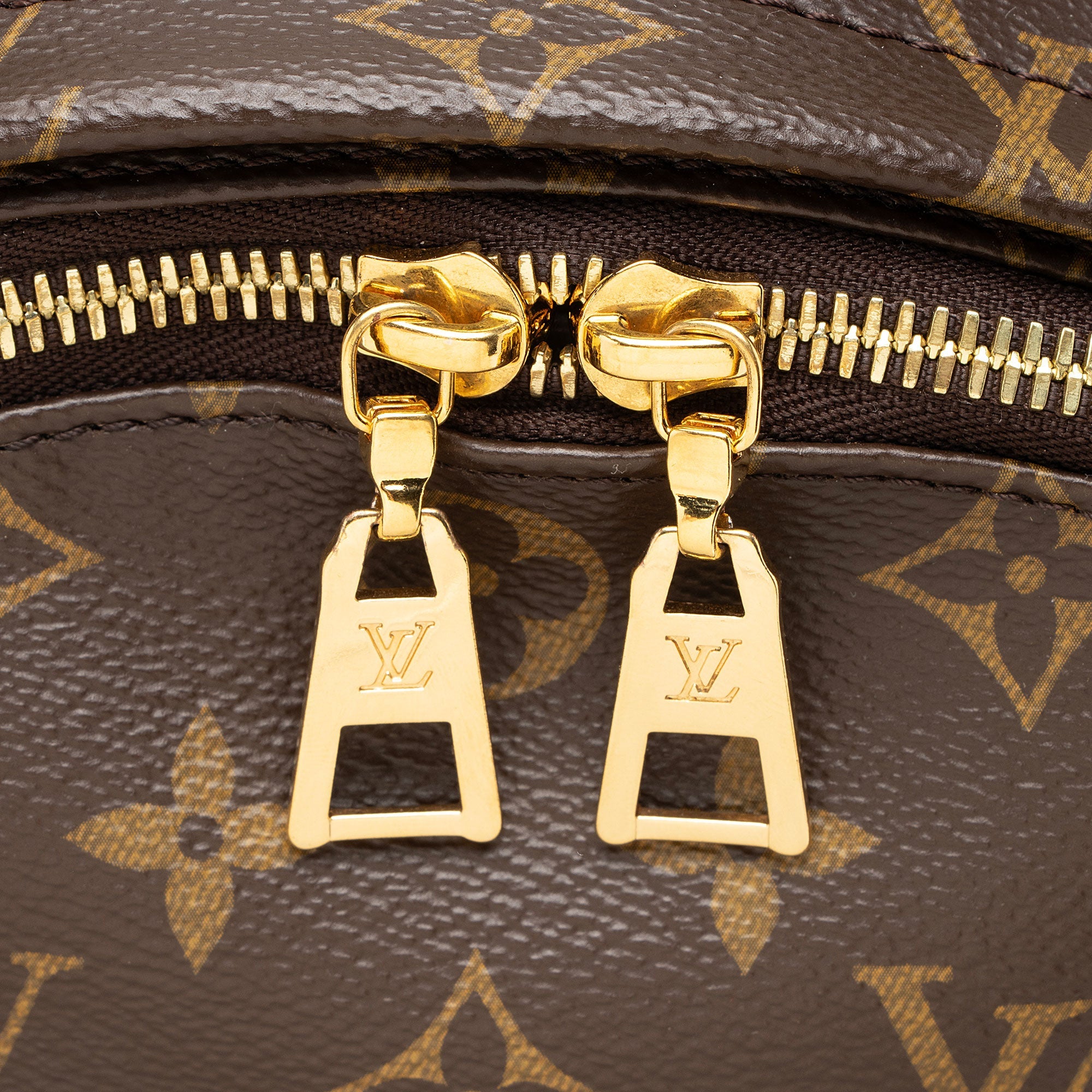 Louis Vuitton Monogram Canvas Palm Springs MM Backpack