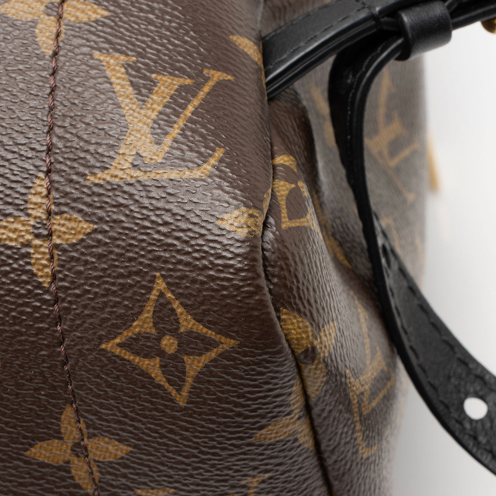 Louis Vuitton Monogram Canvas Palm Springs MM Backpack