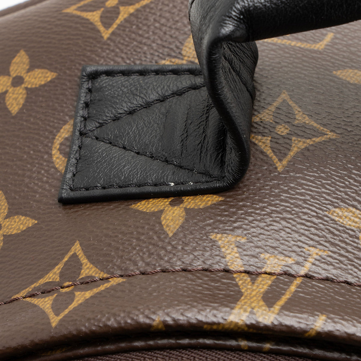 Louis Vuitton Monogram Canvas Palm Springs MM Backpack