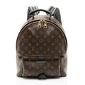 Louis Vuitton Monogram Canvas Palm Springs MM Backpack