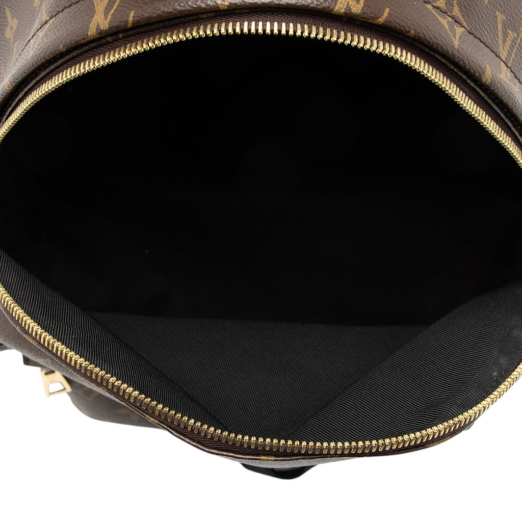 Louis Vuitton Monogram Canvas Palm Springs MM Backpack