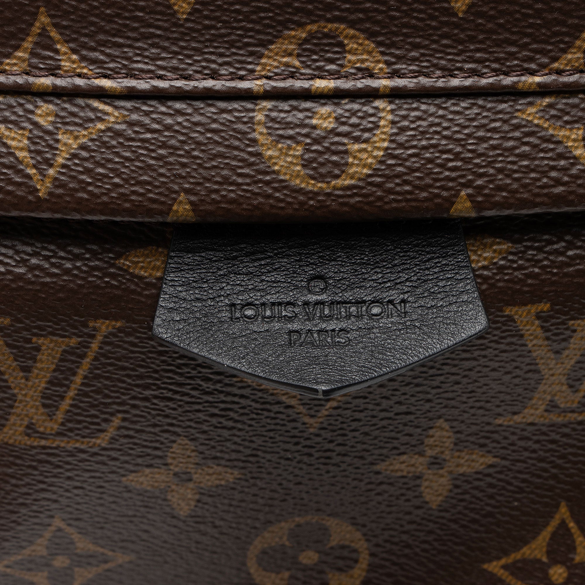 Louis Vuitton Monogram Canvas Palm Springs MM Backpack