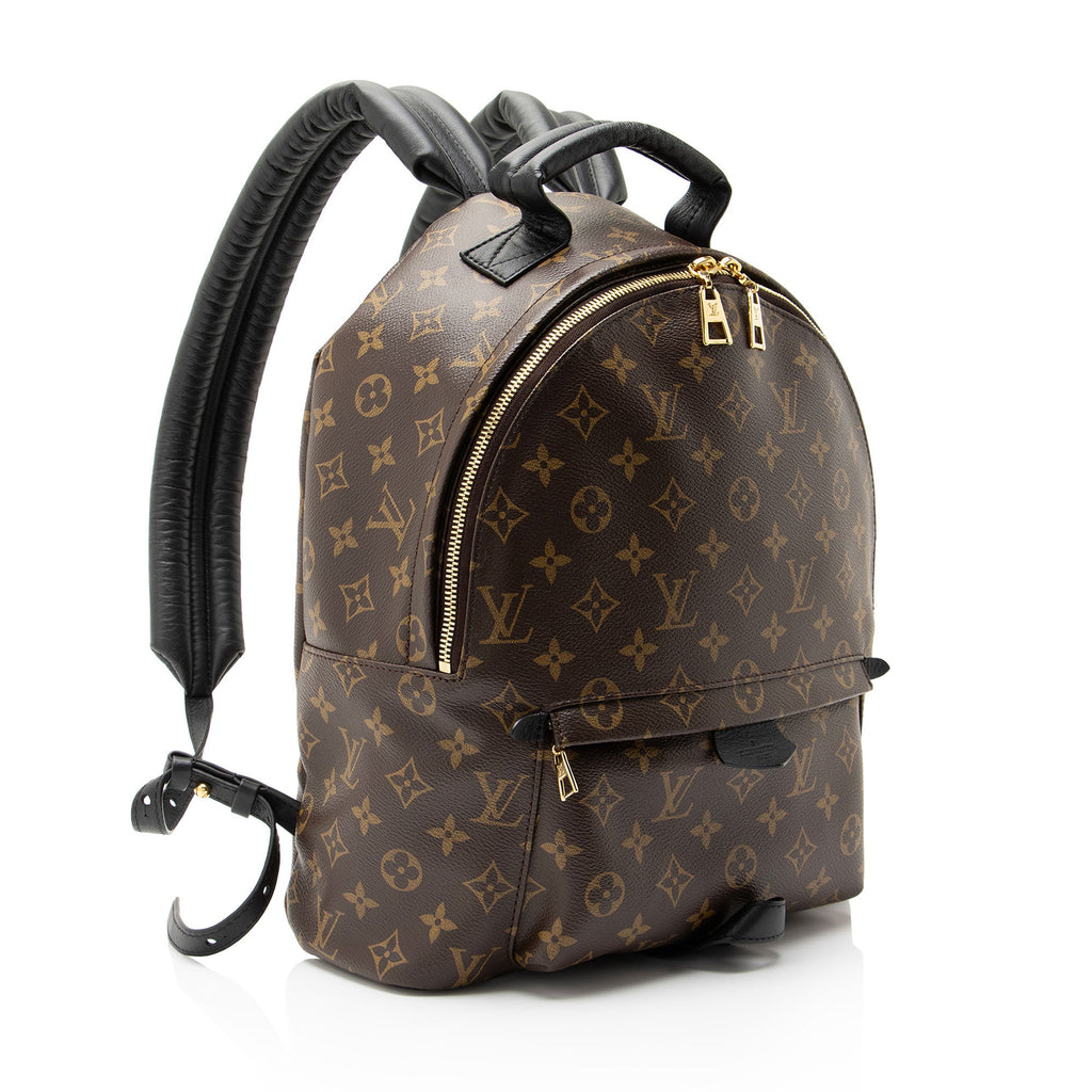 Louis Vuitton Monogram Canvas Palm Springs MM Backpack