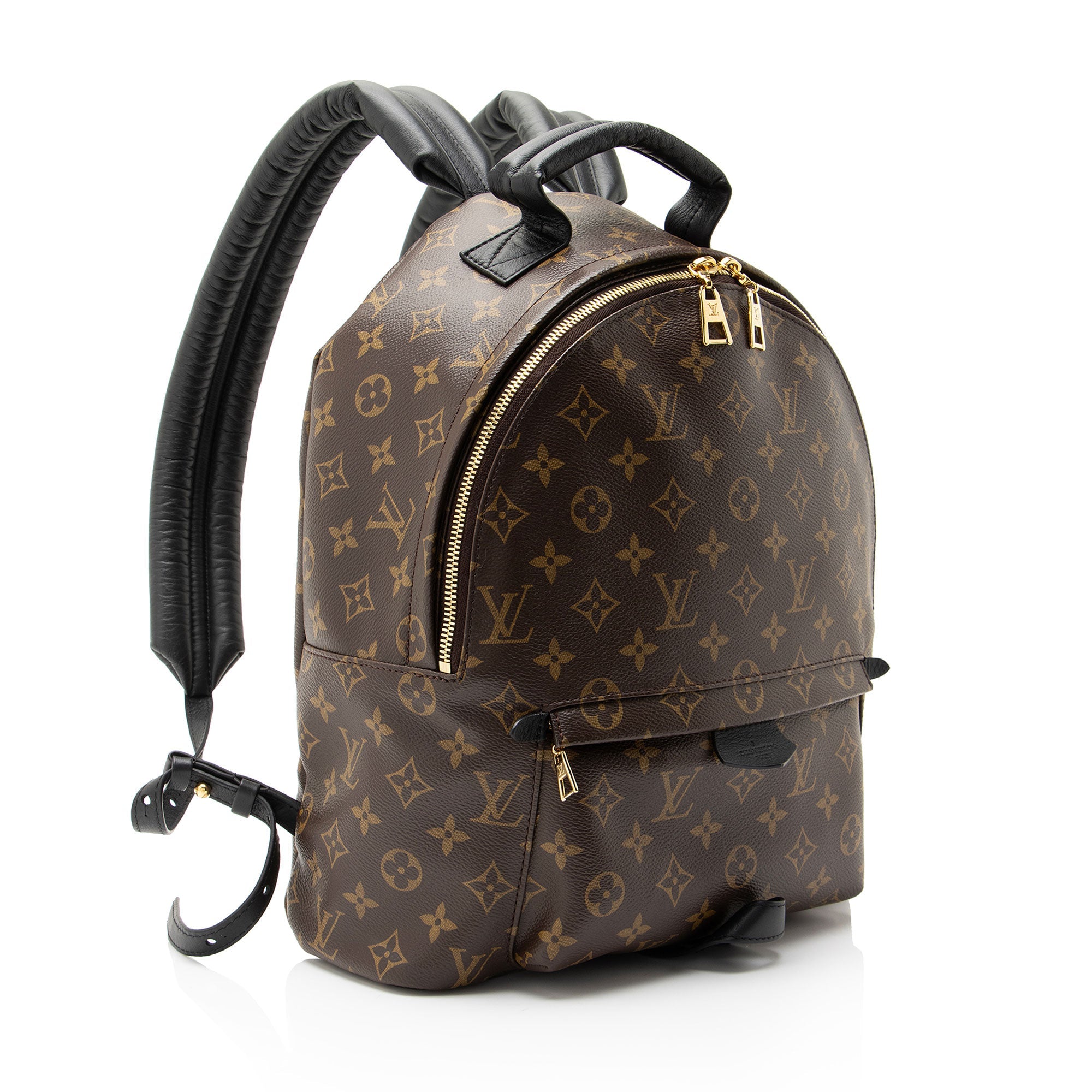 Louis Vuitton Monogram Canvas Palm Springs MM Backpack
