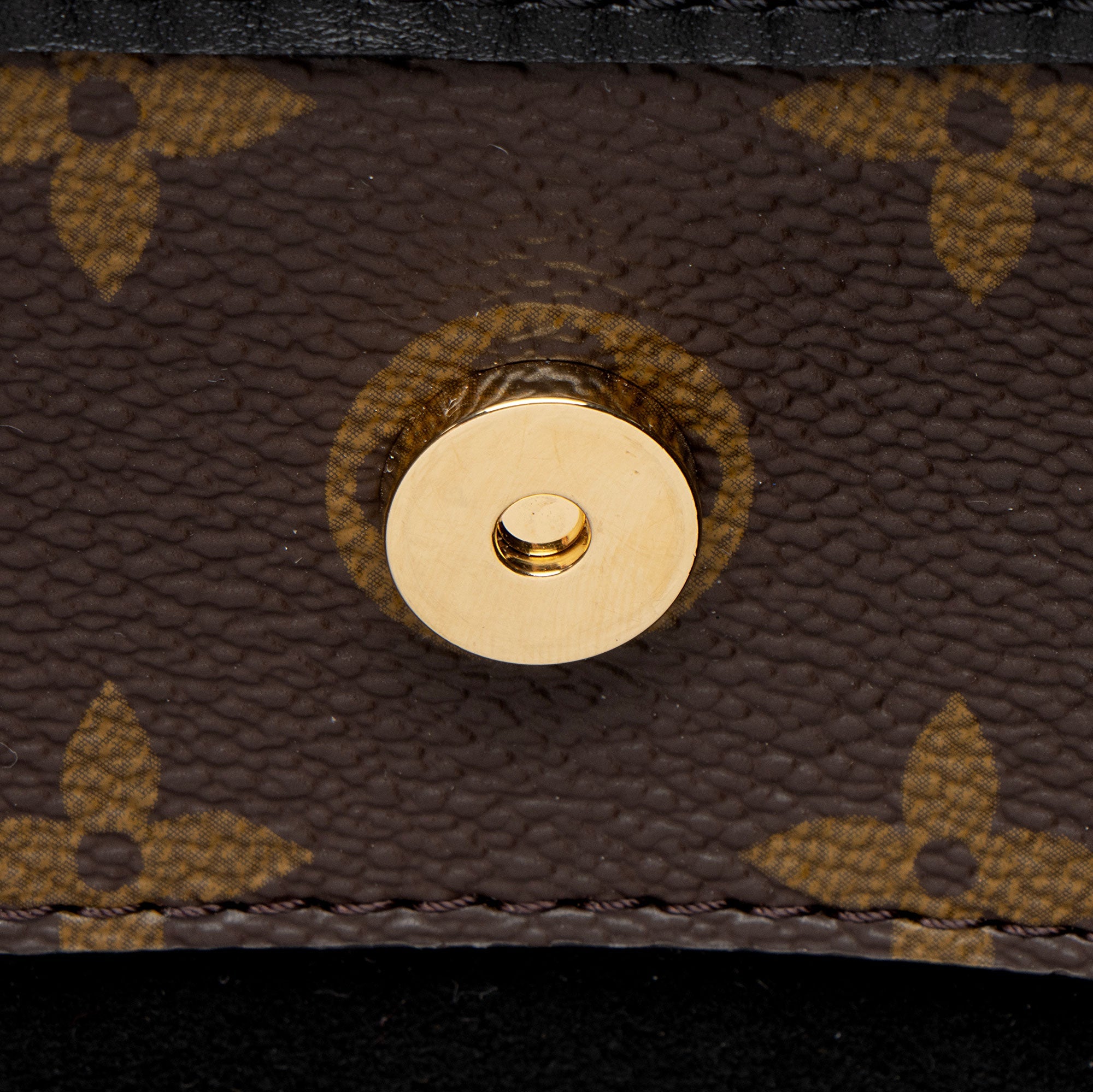 Louis Vuitton Monogram Canvas The Drop GM Shoulder Bag