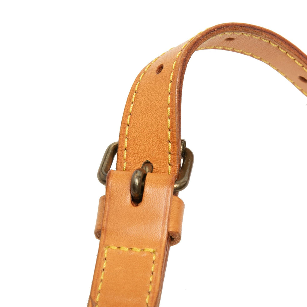 Louis Vuitton Monogram Saumur 30