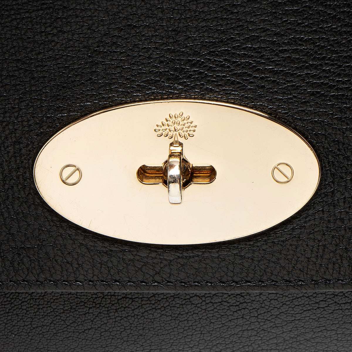 Mulberry Glossy Goat Lily Medium Shoulder Bag
