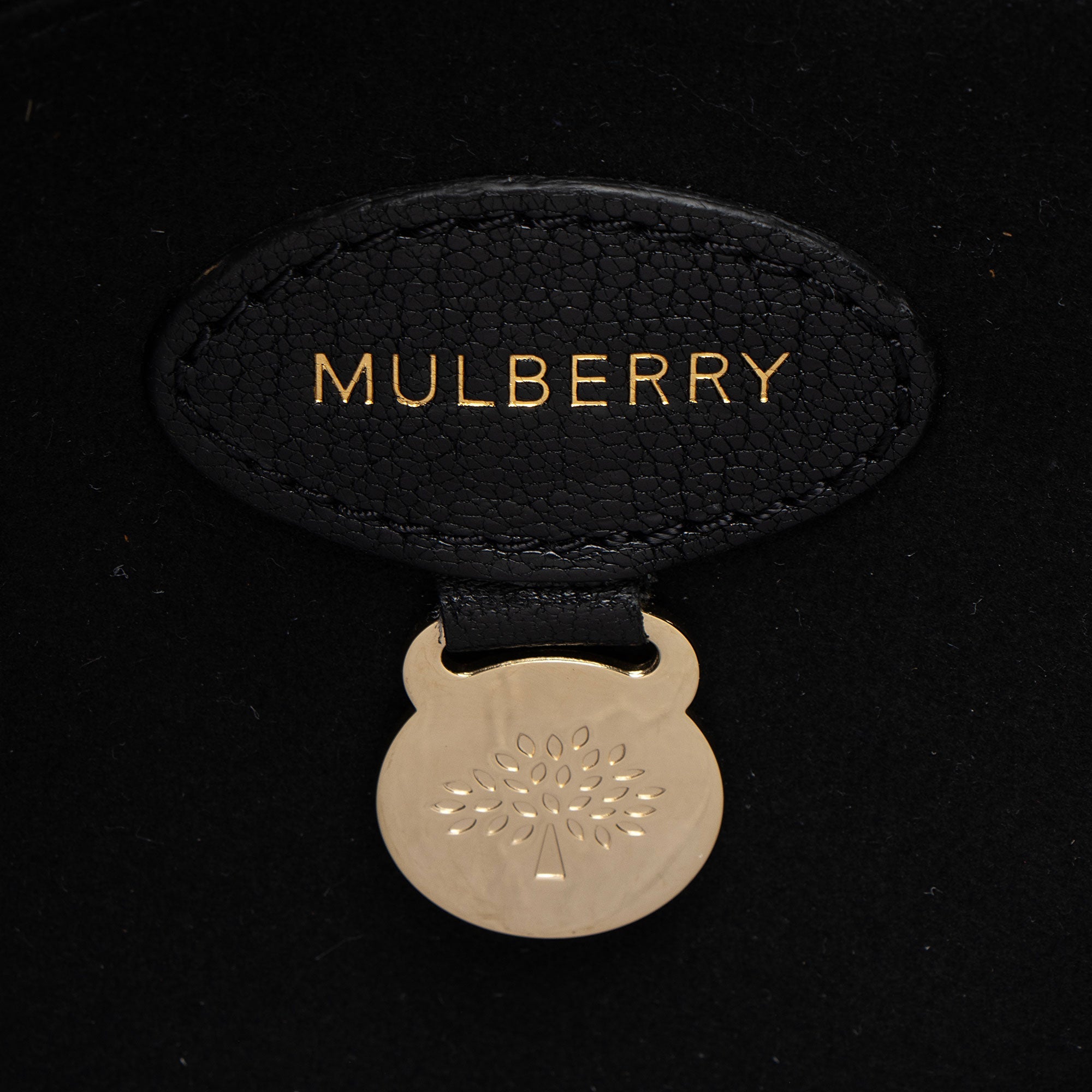 Mulberry Glossy Goat Lily Medium Shoulder Bag