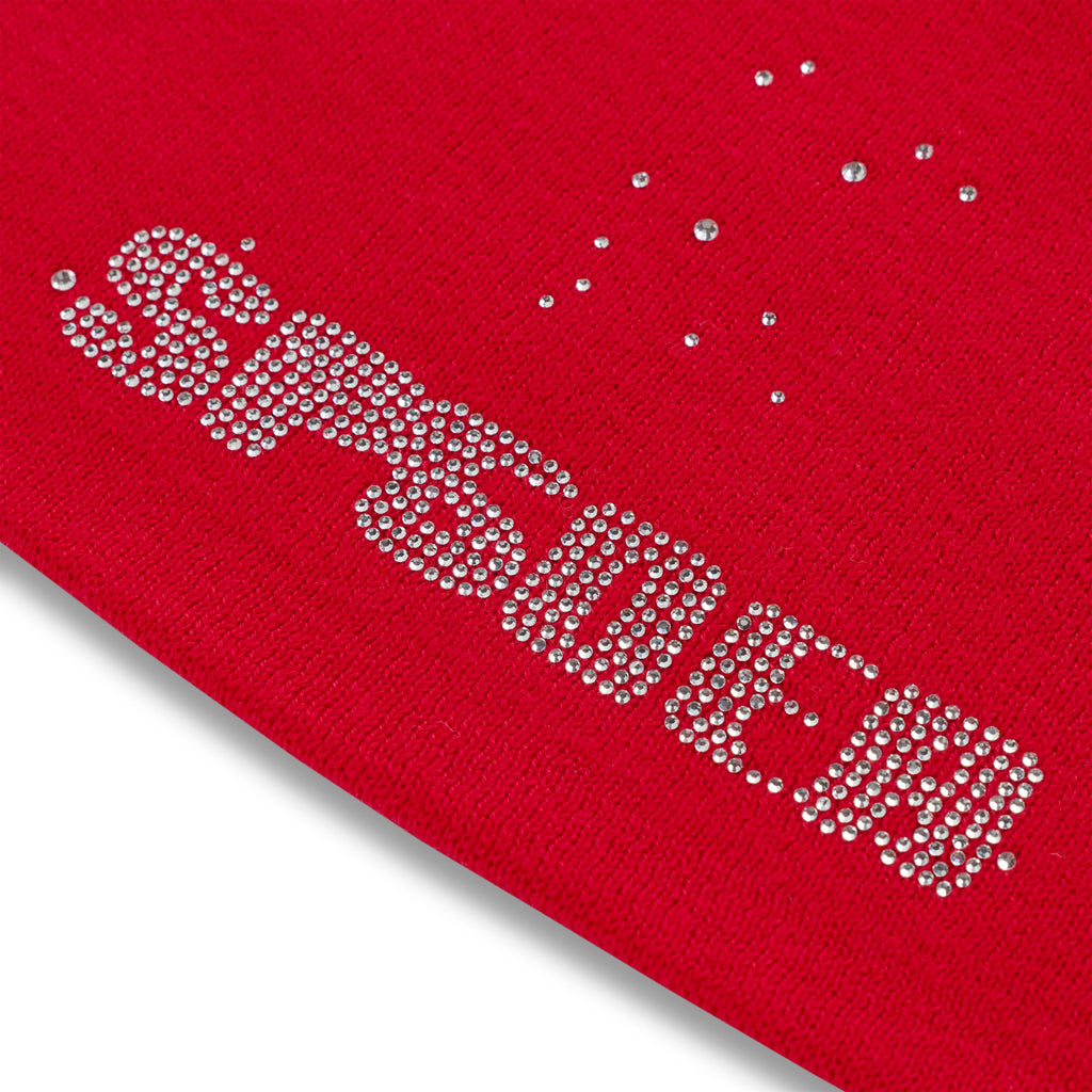 RHINESTONE SILK SKULLY