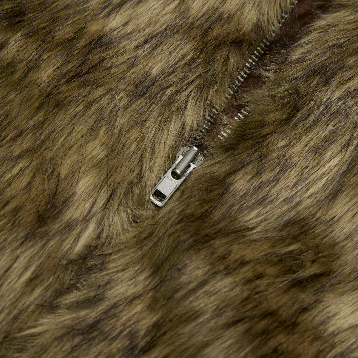 NOCTURNAL ANIMAL JACKET