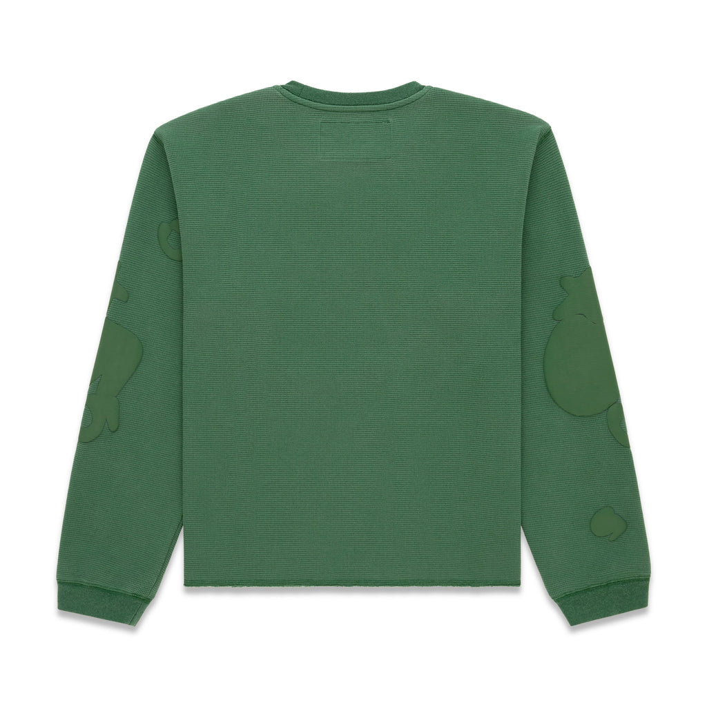 BELUGA THERMAL