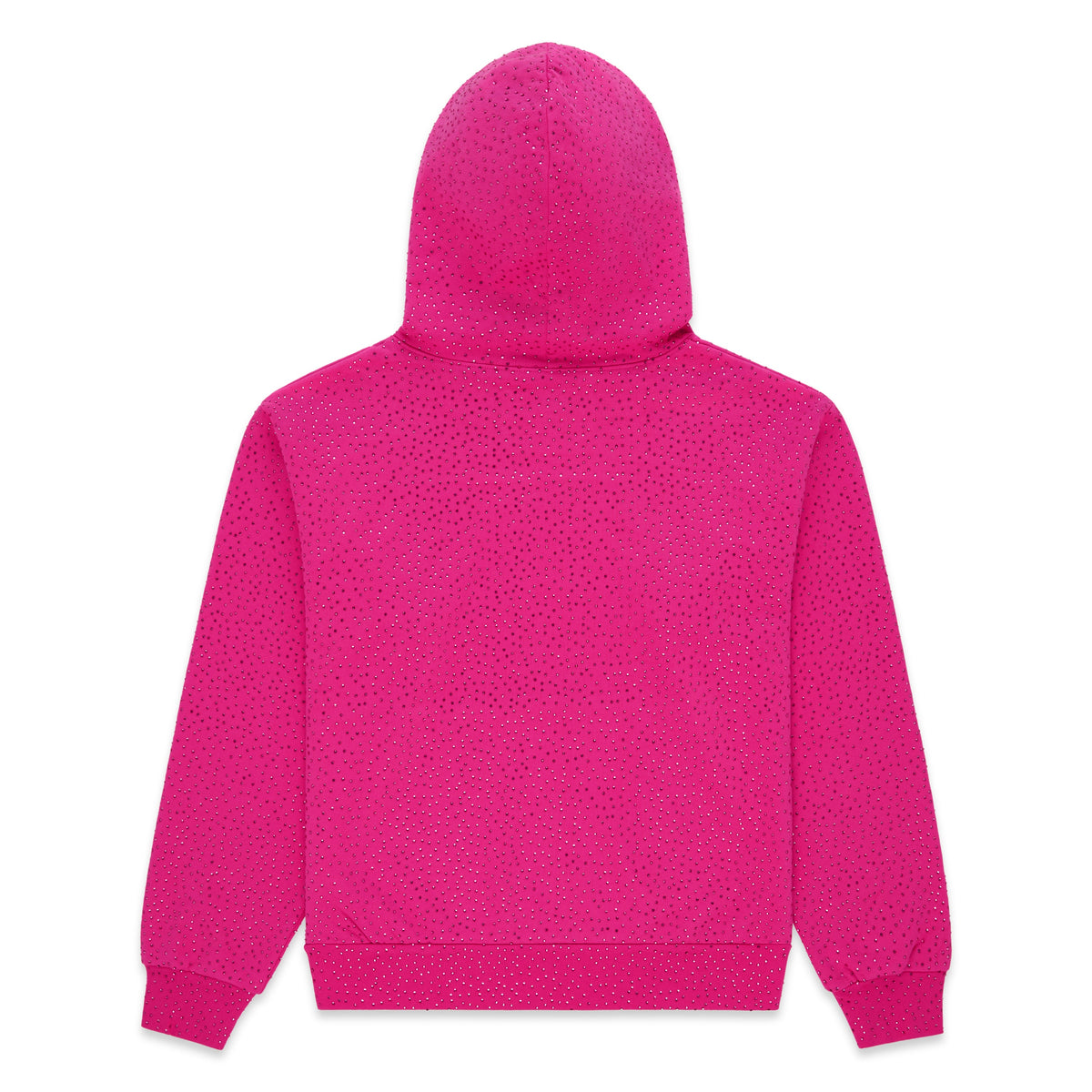 VVS HOODIE
