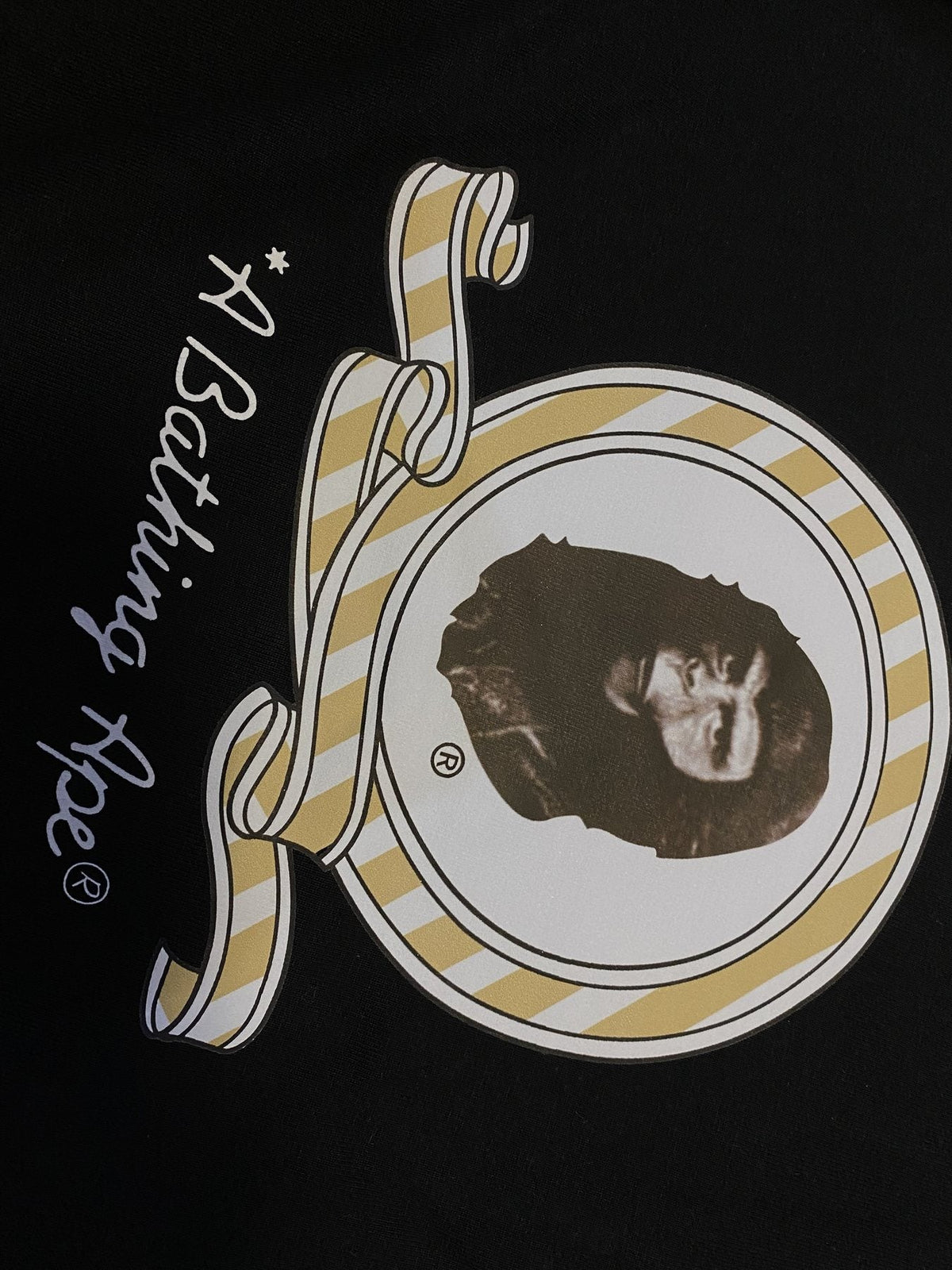 BAPE Front & Back Graphic T-Shirt