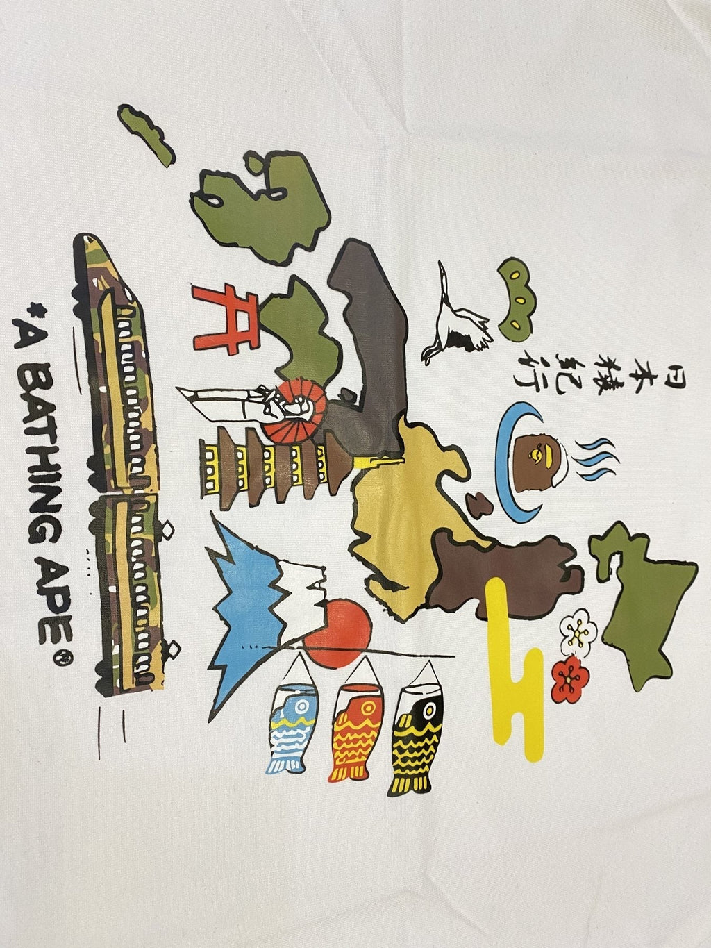 BAPE Japan Map Graphic T-Shirt