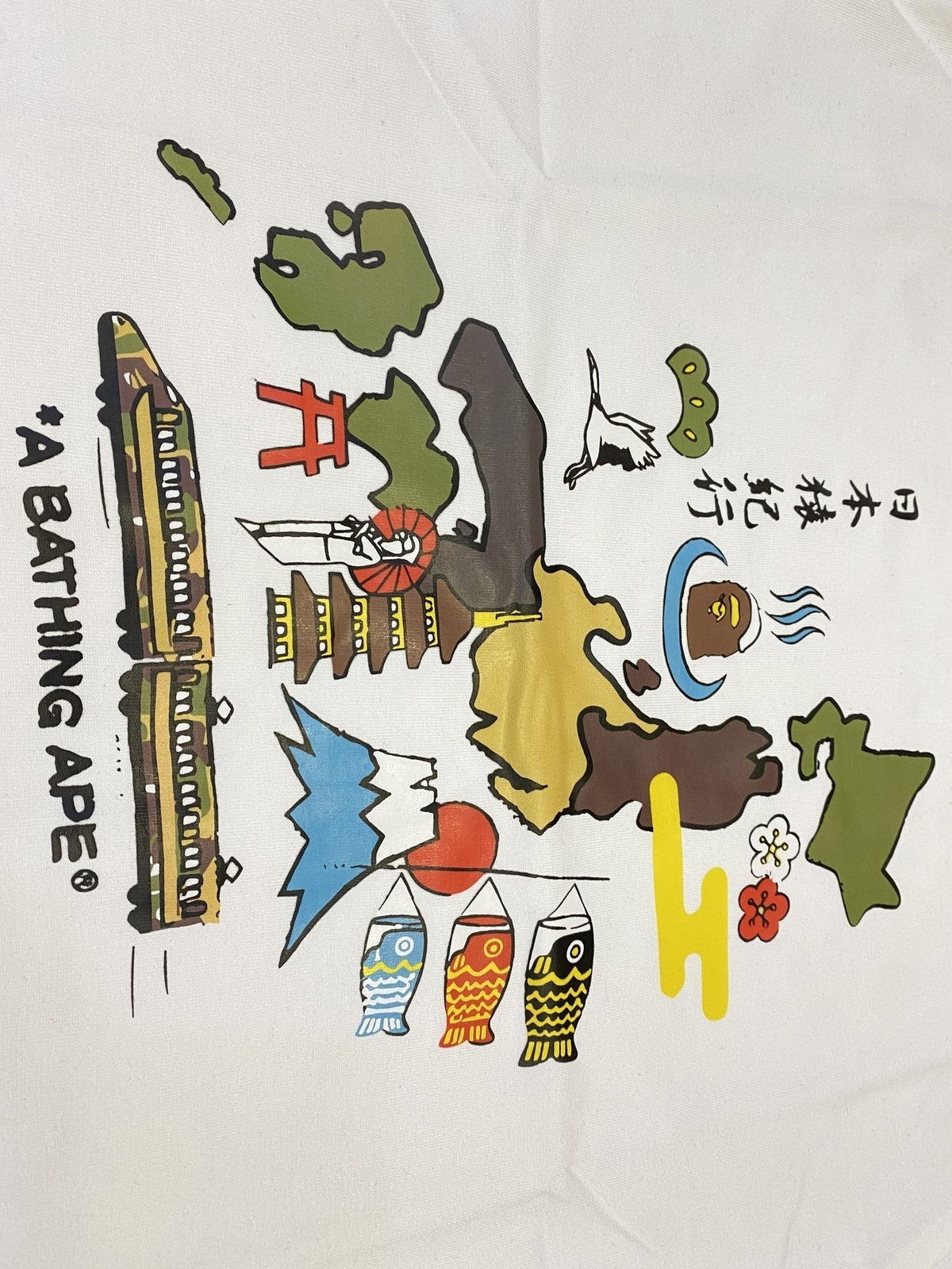 BAPE Japan Map Graphic T-Shirt