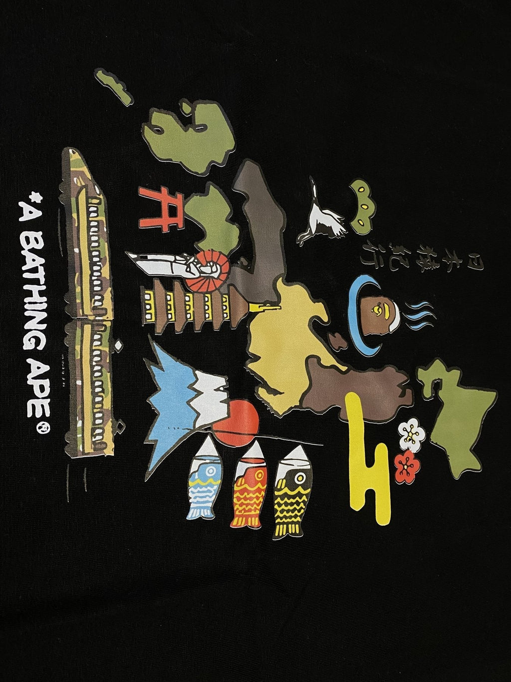 BAPE Japan Map Graphic T-Shirt
