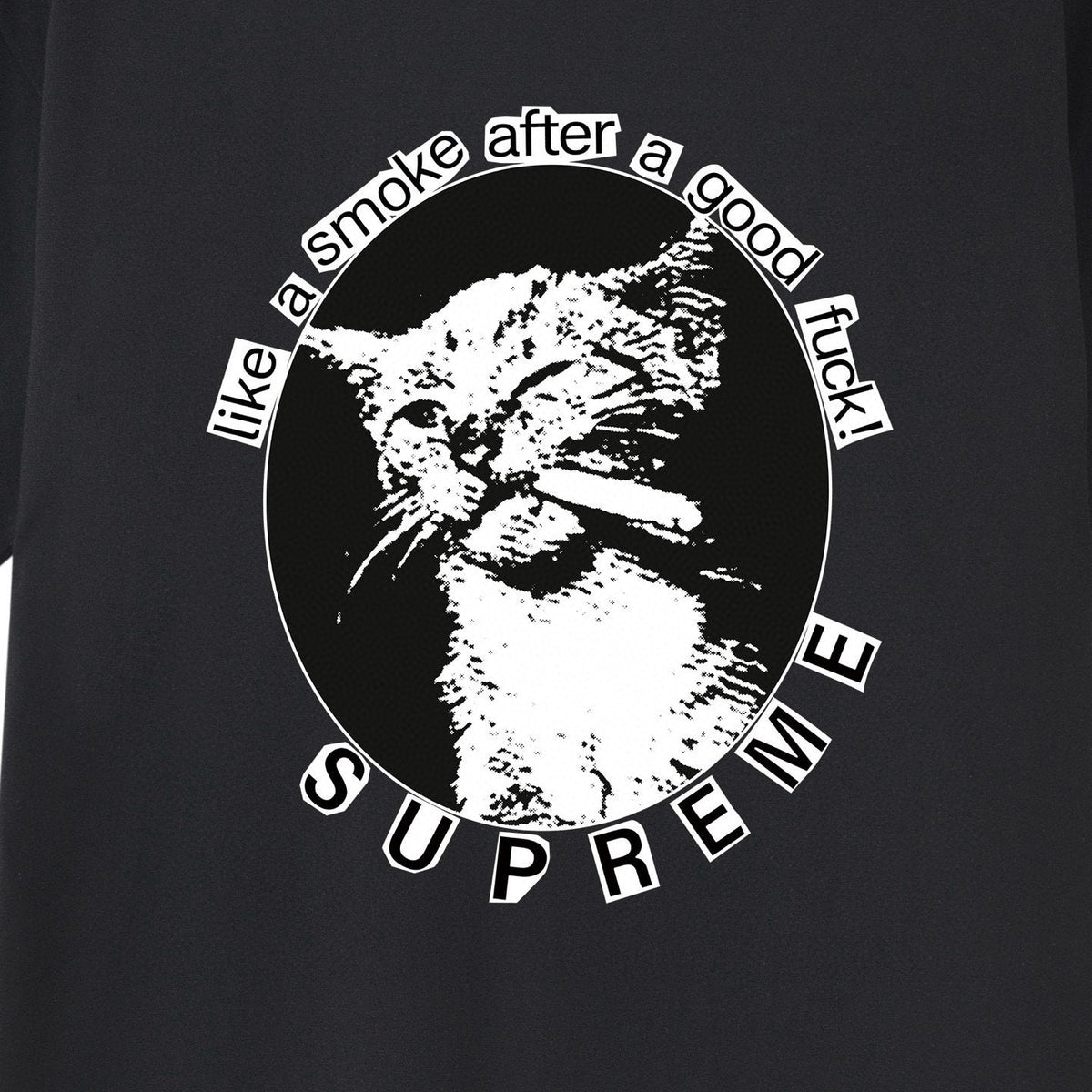Supreme Cat Smoke Graphic T-Shirt