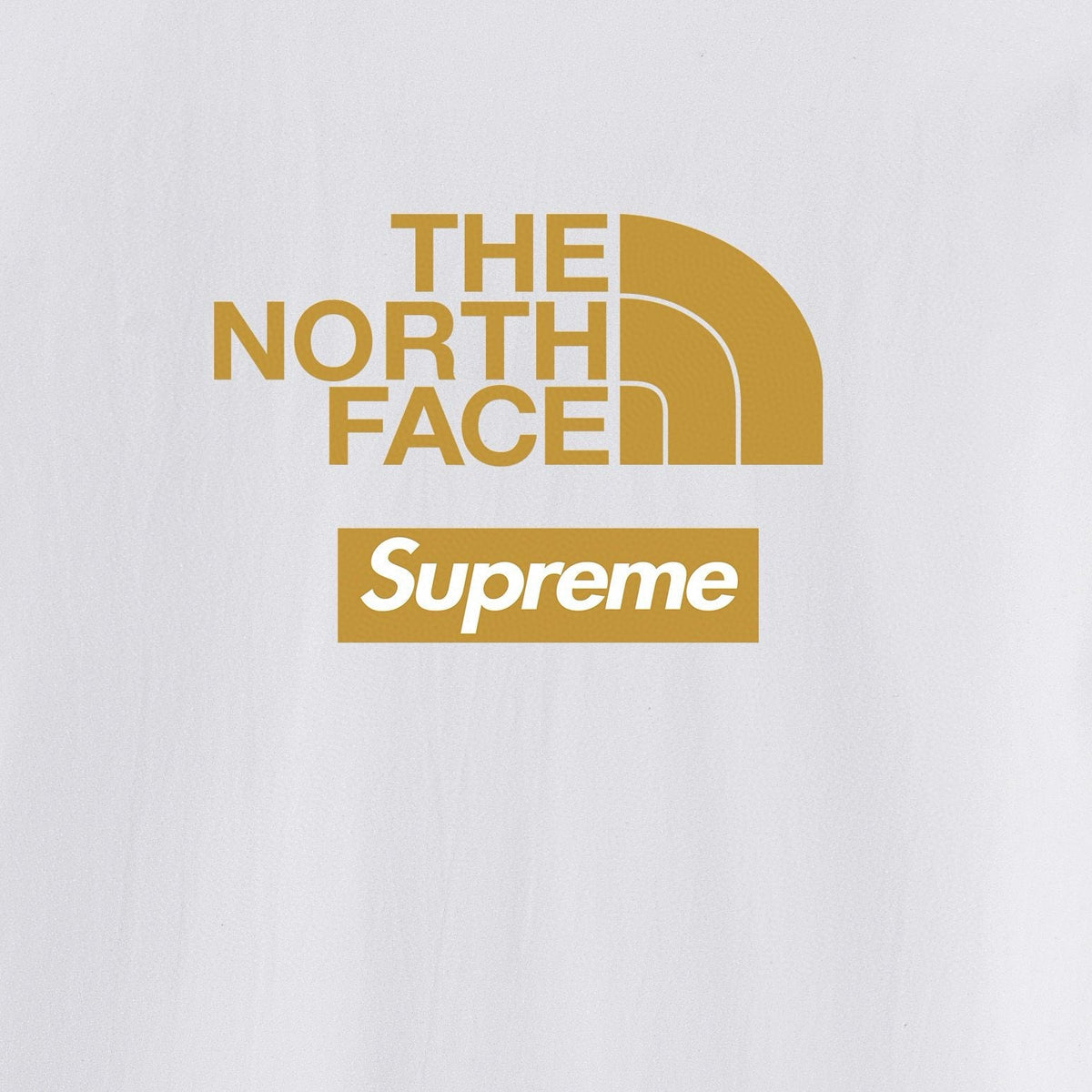 Supreme Mountain Back Graphic Short-Sleeve T-Shirt