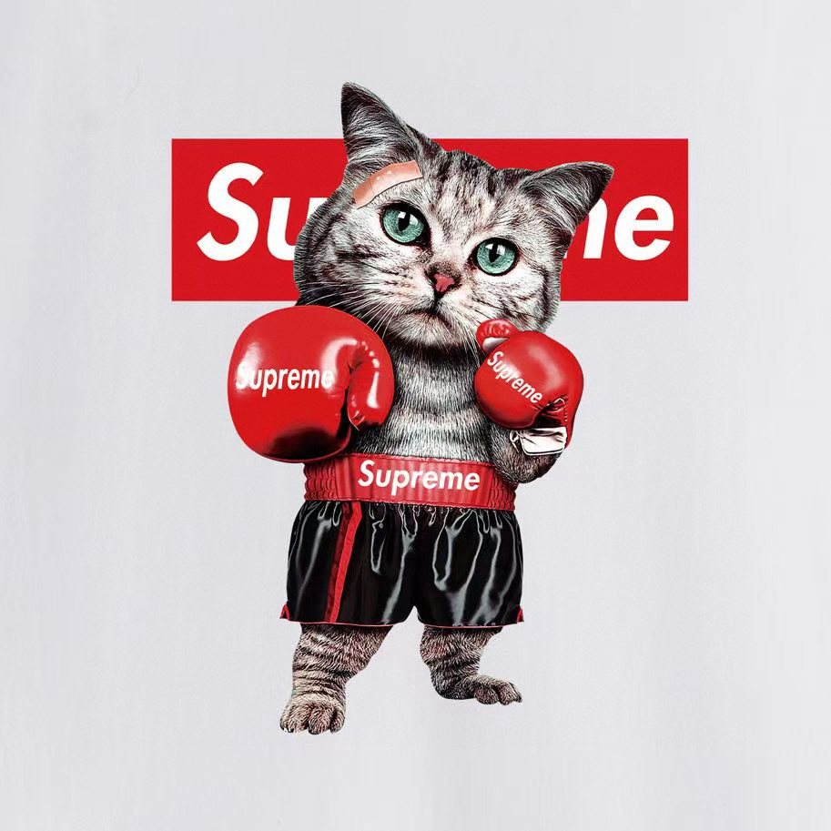 Supreme Boxing Cat Graphic T-Shirt