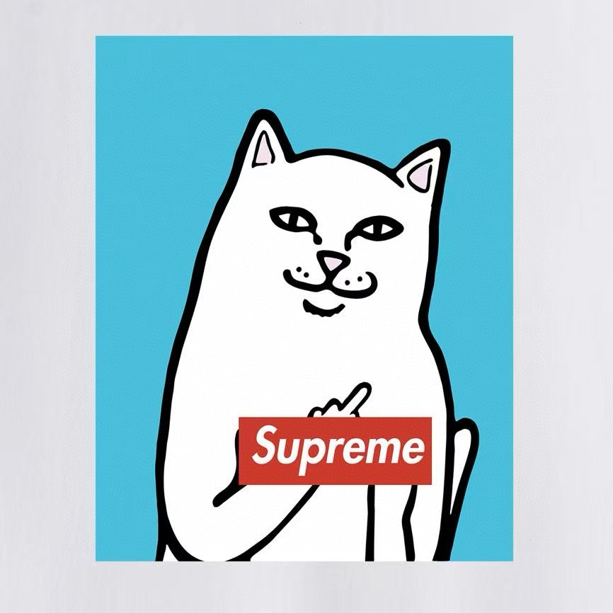 Supreme Cat Graphic Short-Sleeve T-Shirt