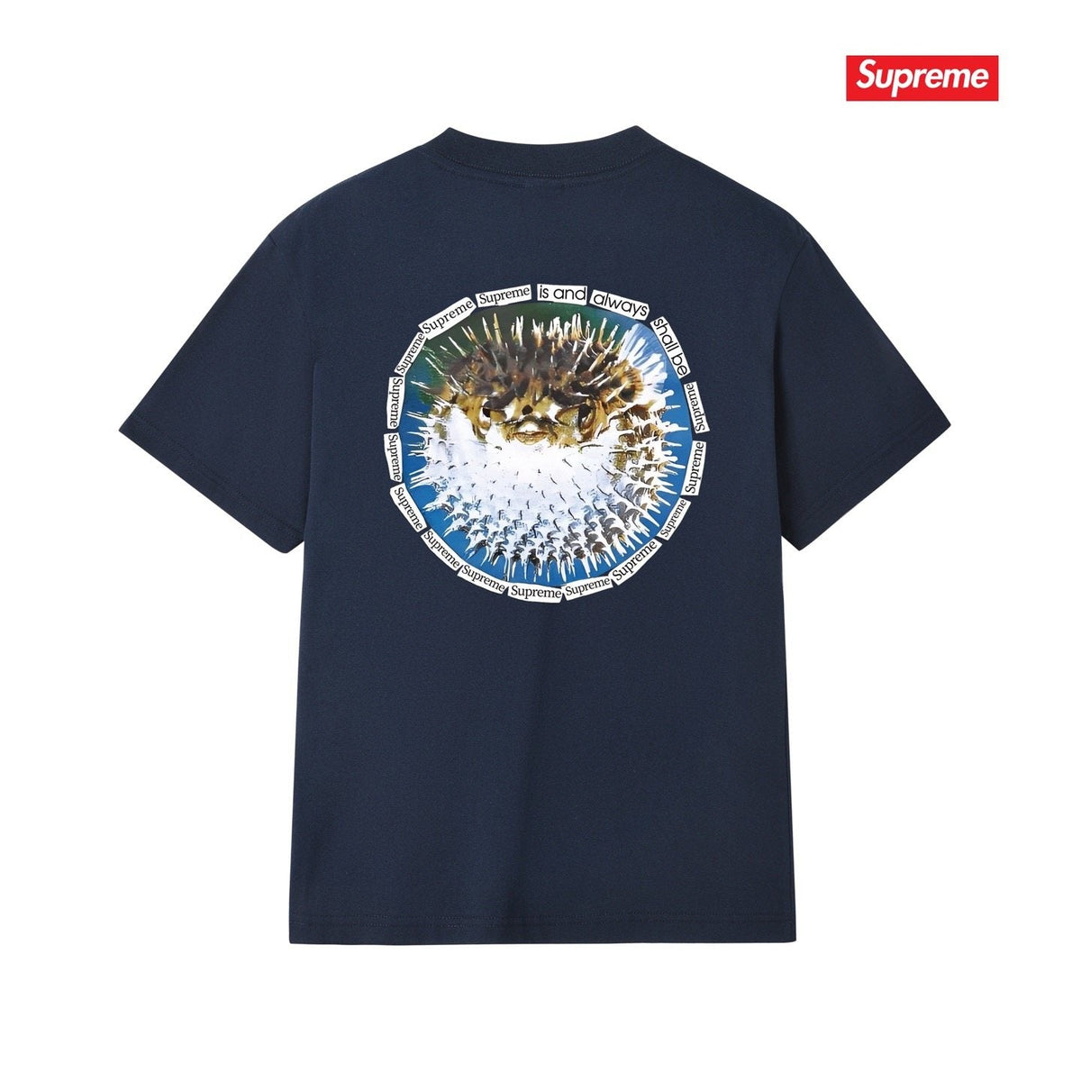 Supreme Pufferfish Back Graphic T-Shirt