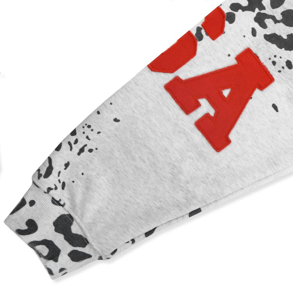 Valley Dreams Forever Leopard Panel Zip Hoodie